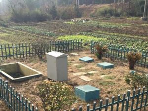 埭溪镇山宕村污水处理项目